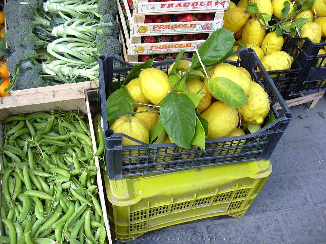Corricella 049.JPG